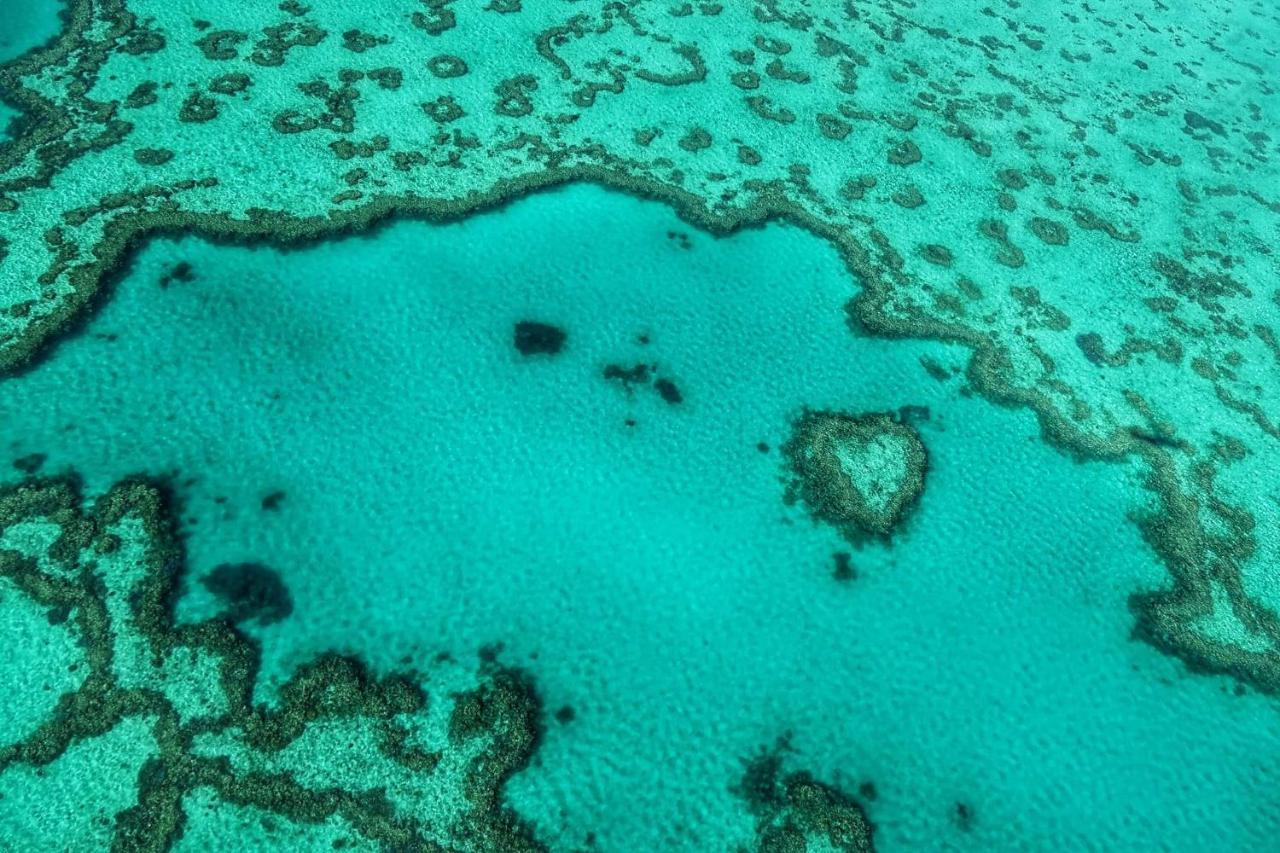 Heart Of Airlie Beach Apartment Luaran gambar